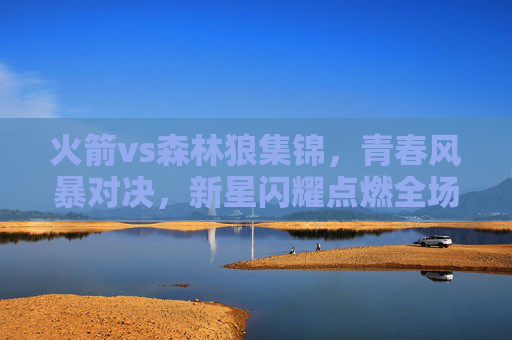火箭vs森林狼集锦，青春风暴对决，新星闪耀点燃全场，火箭vs森林狼，青春风暴对决，新星闪耀点燃全场