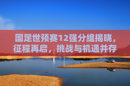 国足世预赛12强分组揭晓，征程再启，挑战与机遇并存，国足世预赛12强分组揭晓 征程再启挑战机遇并存