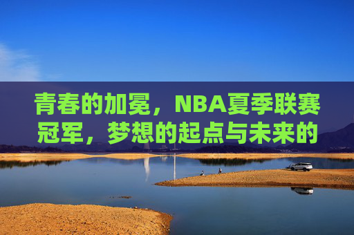 青春的加冕,NBA夏季联赛冠军,梦想的起点与未来的序章,青春加冕,夏冠为始,梦想序章