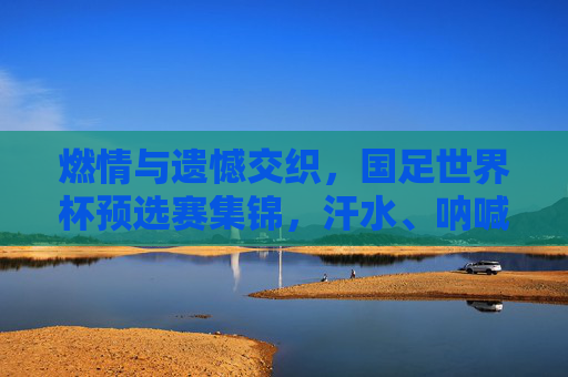 燃情与遗憾交织，国足世界杯预选赛集锦，汗水、呐喊与未竟的梦，燃情与遗憾交织，国足世界杯预选赛的汗水呐喊与未竟梦