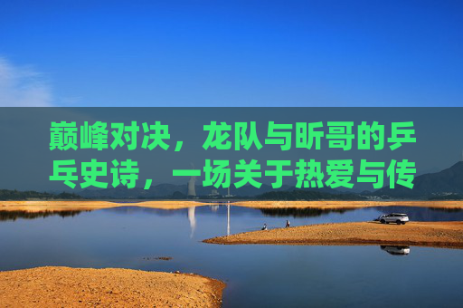 巅峰对决,龙队与昕哥的乒乓史诗,一场关于热爱与传承的决赛,龙队昕哥巅峰对决,乒乓史诗里的热爱与传承