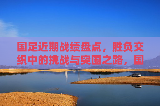 国足近期战绩盘点，胜负交织中的挑战与突围之路，国足近期战绩，胜负交织中的挑战与突围