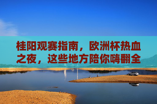 桂阳观赛指南,欧洲杯热血之夜,这些地方陪你嗨翻全场!桂阳欧洲杯观赛指南,热血之夜,嗨翻全场!