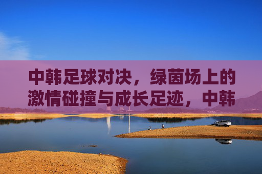 中韩足球对决,绿茵场上的激情碰撞与成长足迹,中韩足球对决,激情碰撞与成长足迹