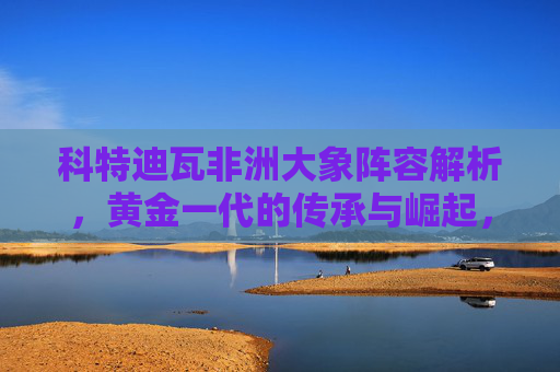 科特迪瓦非洲大象阵容解析，黄金一代的传承与崛起，科特迪瓦非洲大象阵容，黄金一代的传承与崛起