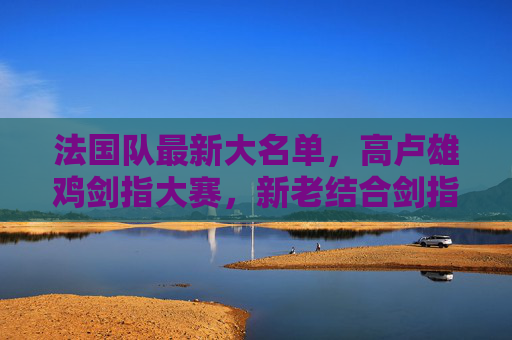 法国队最新大名单,高卢雄鸡剑指大赛,新老结合剑指荣耀