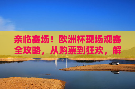 亲临赛场！欧洲杯现场观赛全攻略，从购票到狂欢，解锁沉浸式足球盛宴，欧洲杯现场观赛全攻略，从购票到狂欢，解锁沉浸式足球盛宴