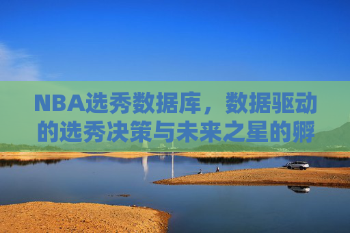 NBA选秀数据库,数据驱动的选秀决策与未来之星的孵化器,NBA选秀数据库,数据驱动的决策与未来之星孵化