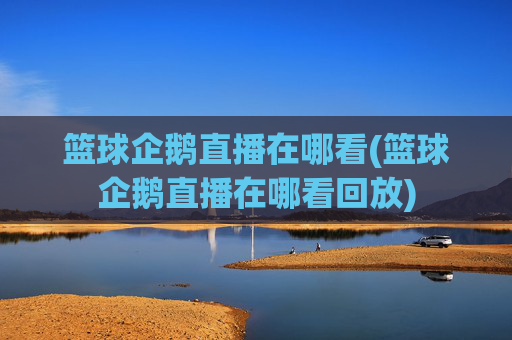 篮球企鹅直播在哪看(篮球企鹅直播在哪看回放)