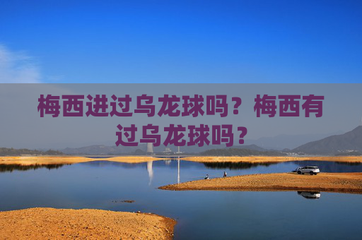 梅西进过乌龙球吗？梅西有过乌龙球吗？