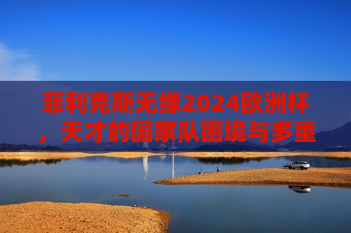 菲利克斯无缘2024欧洲杯，天才的国家队困境与多重因素解析，菲利克斯无缘2024欧洲杯，天才的国家队困境与多重因素解析