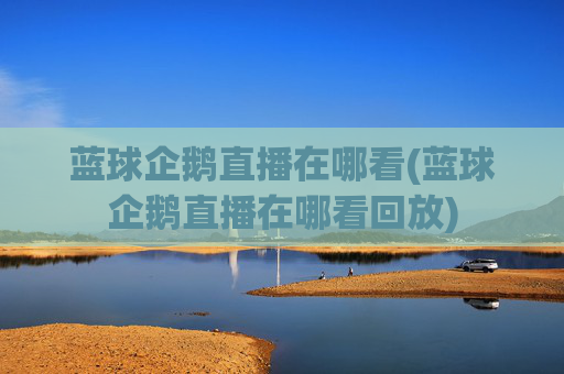 蓝球企鹅直播在哪看(蓝球企鹅直播在哪看回放)