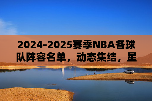 2024-2025赛季NBA各球队阵容名单,动态集结,星光与新生并存,2024-2025赛季NBA球队阵容,星光新生,动态集结
