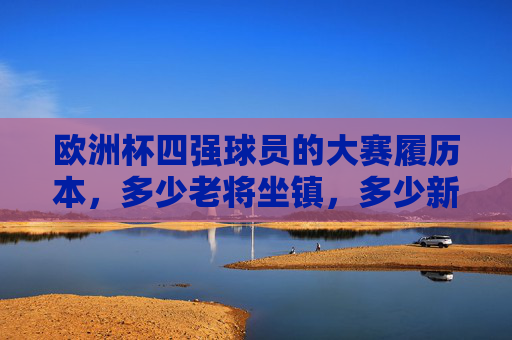 欧洲杯四强球员的大赛履历本，多少老将坐镇，多少新星首秀？欧洲杯四强球员履历，老将坐镇与新星首秀