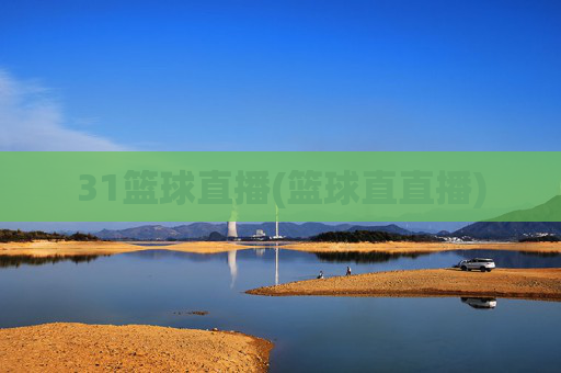 31篮球直播(篮球直直播)