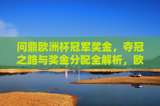 问鼎欧洲杯冠军奖金,夺冠之路与奖金分配全解析,欧洲杯冠军奖金全解析,问鼎之路与分配机制