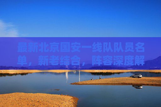 最新北京国安一线队队员名单，新老结合，阵容深度解析，北京国安最新一线队阵容，新老结合深度解析