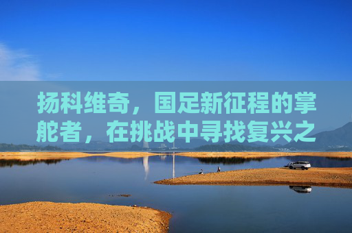 扬科维奇，国足新征程的掌舵者，在挑战中寻找复兴之路，扬科维奇领航国足新征程，在挑战中觅复兴之路
