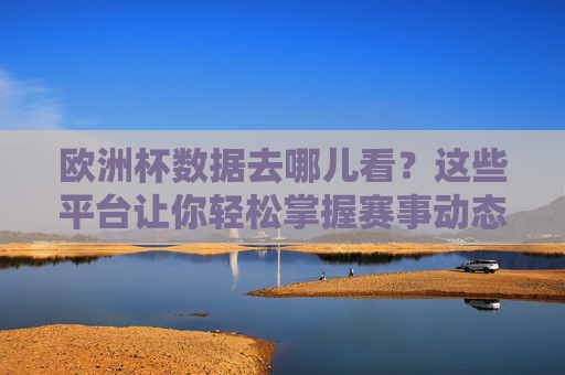 欧洲杯数据去哪儿看?这些平台让你轻松掌握赛事动态,欧洲杯数据平台,轻松掌握赛事动态