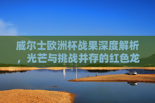 威尔士欧洲杯战果深度解析,光芒与挑战并存的红色龙之旅,威尔士欧洲杯战果解析,光芒与挑战并存的红色龙之旅