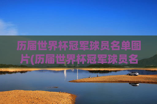 历届世界杯冠军球员名单图片(历届世界杯冠军球员名单图片大全)