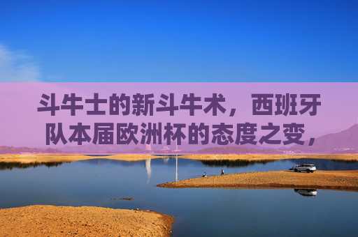 斗牛士的新斗牛术,西班牙队本届欧洲杯的态度之变,斗牛士的新斗牛术,本届欧洲杯的态度之变