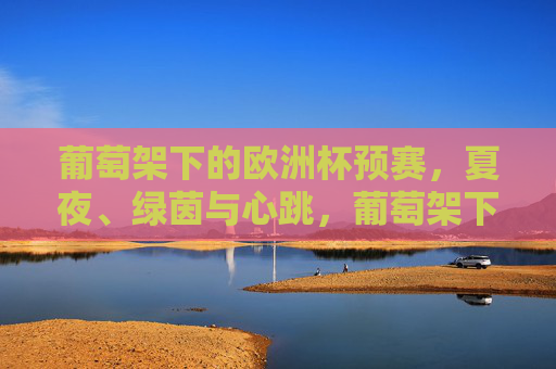 葡萄架下的欧洲杯预赛,夏夜、绿茵与心跳,葡萄架下的欧洲杯预赛,夏夜绿茵与心跳