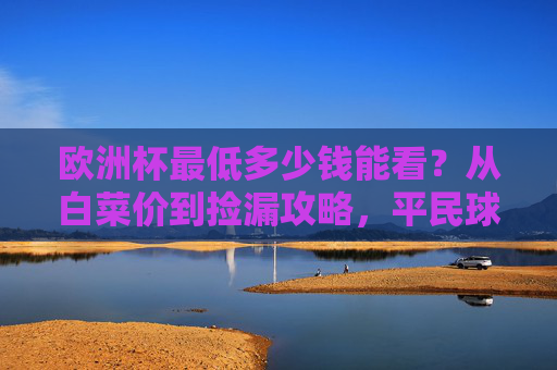 欧洲杯最低多少钱能看？从白菜价到捡漏攻略，平民球迷的观赛指南，欧洲杯观赛最低价攻略，平民球迷省钱指南