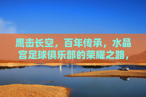 鹰击长空,百年传承,水晶宫足球俱乐部的荣耀之路,鹰击长空百年传承,水晶宫荣耀之路