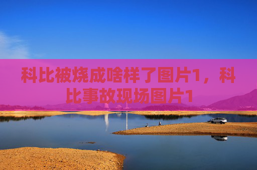 科比被烧成啥样了图片1，科比事故现场图片1