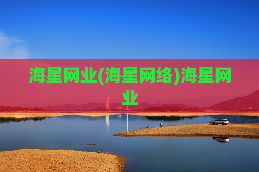 海星网业(海星网络)海星网业