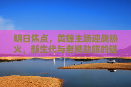 明日焦点,黄蜂主场迎战热火,新生代与老牌劲旅的碰撞悬念迭起,明日焦点,黄蜂主场迎战热火,新生代与老牌劲旅碰撞悬念迭起
