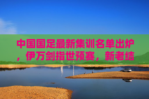中国国足最新集训名单出炉，伊万剑指世预赛，新老结合引关注，国足最新集训名单，伊万剑指世预赛，新老结合引关注