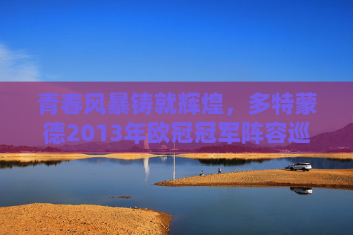 青春风暴铸就辉煌,多特蒙德2013年欧冠冠军阵容巡礼,青春风暴铸就辉煌,多特蒙德2013年欧冠冠军阵容巡礼