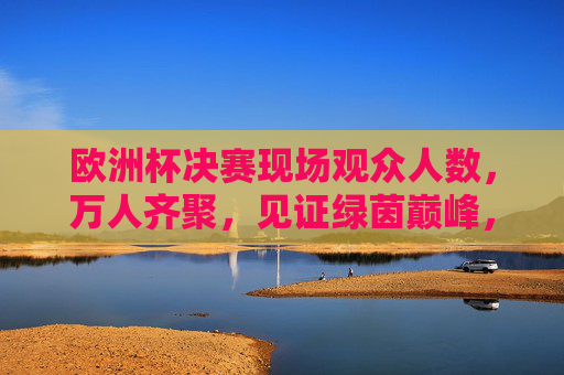 欧洲杯决赛现场观众人数,万人齐聚,见证绿茵巅峰,欧洲杯决赛万人齐聚见证绿茵巅峰