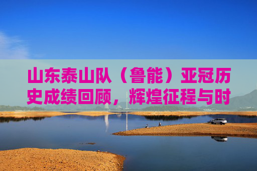 山东泰山队（鲁能）亚冠历史成绩回顾，辉煌征程与时代印记，山东泰山队（鲁能）亚冠历史，辉煌征程与时代印记