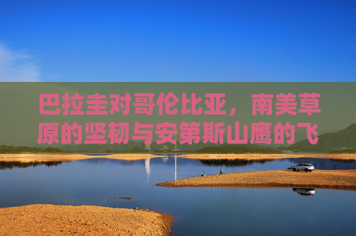 巴拉圭对哥伦比亚,南美草原的坚韧与安第斯山鹰的飞翔,巴拉圭草原坚韧VS哥伦比亚山鹰飞翔