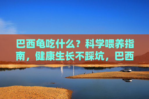 巴西龟吃什么?科学喂养指南,健康生长不踩坑,巴西龟科学喂养指南,健康生长不踩坑