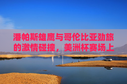 潘帕斯雄鹰与哥伦比亚劲旅的激情碰撞，美洲杯赛场上的南美巅峰对决，潘帕斯雄鹰与哥伦比亚劲旅激情碰撞，美洲杯南美巅峰对决
