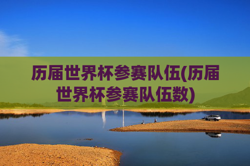 历届世界杯参赛队伍(历届世界杯参赛队伍数)