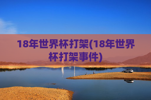 18年世界杯打架(18年世界杯打架事件)
