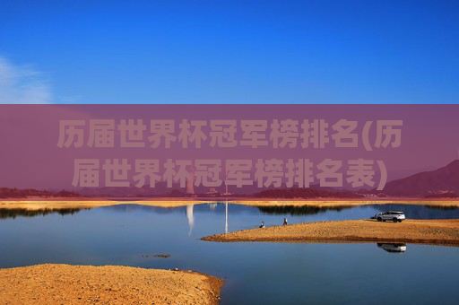 历届世界杯冠军榜排名(历届世界杯冠军榜排名表)