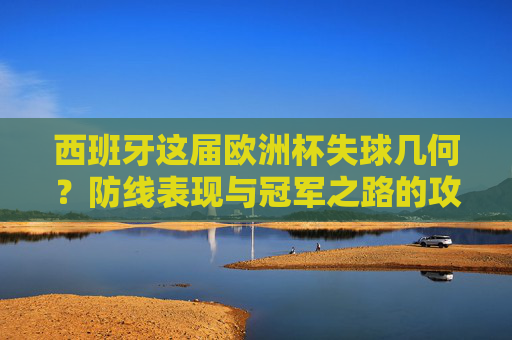 西班牙这届欧洲杯失球几何?防线表现与冠军之路的攻守辩证,西班牙欧洲杯防线,失球几何与冠军之路的攻守辩证