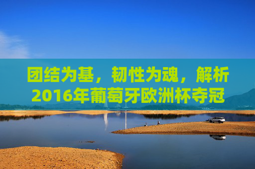 团结为基,韧性为魂,解析2016年葡萄牙欧洲杯夺冠之路,团结为基,韧性为魂,2016年葡萄牙欧洲杯夺冠之路