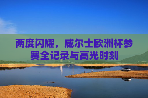 两度闪耀,威尔士欧洲杯参赛全记录与高光时刻
