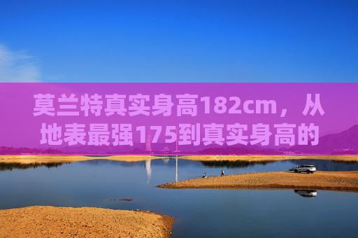 莫兰特真实身高182cm,从地表最强175到真实身高的赛场启示,莫兰特身高真相,地表最强175到182cm的赛场启示
