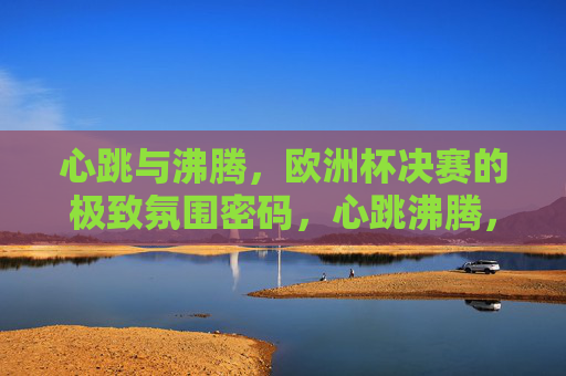 心跳与沸腾，欧洲杯决赛的极致氛围密码，心跳沸腾，欧洲杯决赛的极致氛围密码