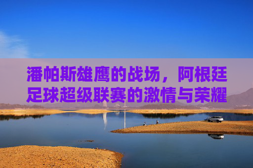 潘帕斯雄鹰的战场,阿根廷足球超级联赛的激情与荣耀
