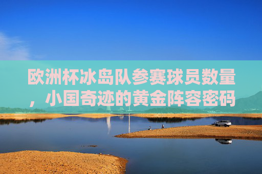 欧洲杯冰岛队参赛球员数量,小国奇迹的黄金阵容密码,欧洲杯冰岛小国奇迹,黄金阵容密码