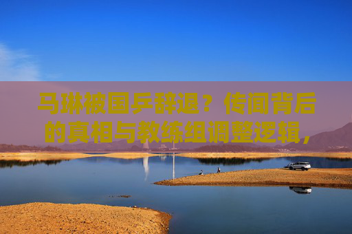 马琳被国乒辞退?传闻背后的真相与教练组调整逻辑,马琳国乒辞退传闻,真相与教练组调整逻辑